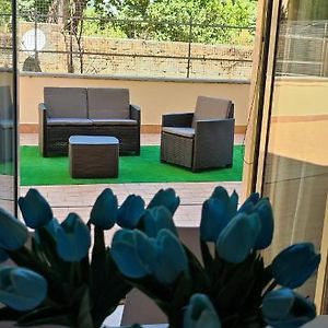 Il Tulipano